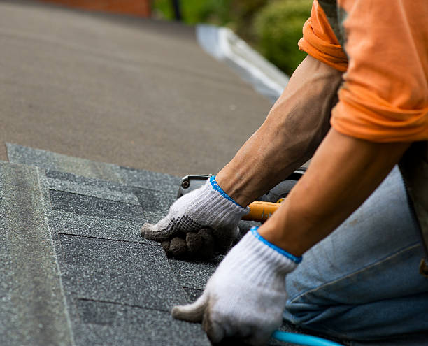 Best Roof Restoration Services  in Raintree Plantation, MO